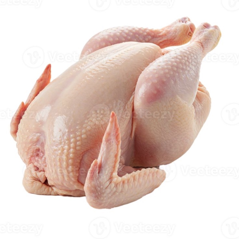 Poulet de Chair